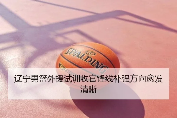 辽宁男篮外援试训收官锋线补强方向愈发清晰